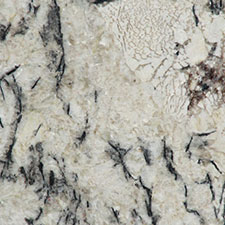 Granite, Arctic Cream