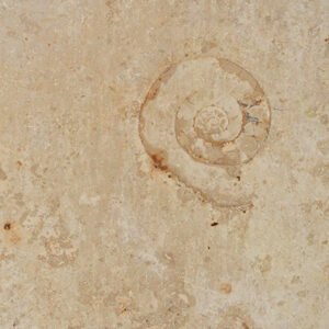 Natural Limestone, Jura Beige