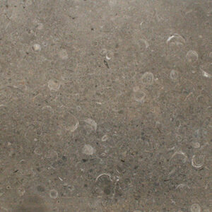 Natural Limestone, Mandale Derbyshire Fossil