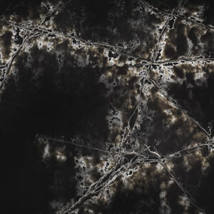 Quartz, Genesis Ice Black by Compac