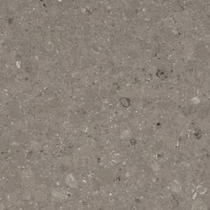 Quartz, Shitake 4230 by Caesarstone