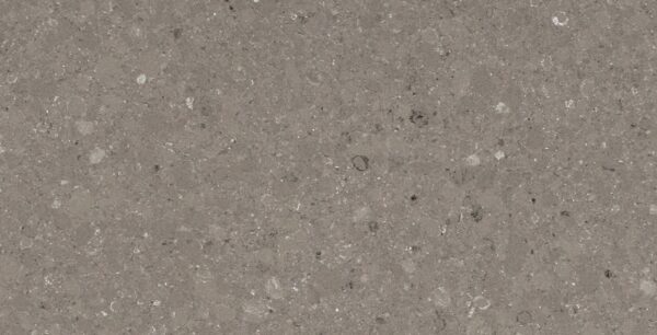 Quartz, Shitake 4230 by Caesarstone