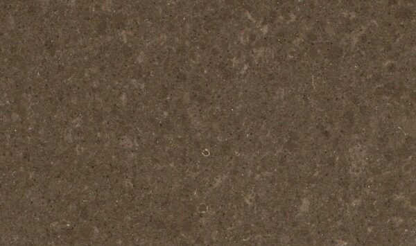 Porcelain, Wild Rice 4360 by Caesarstone