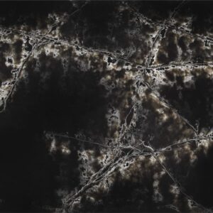 Quartz, Ice Black by Compac