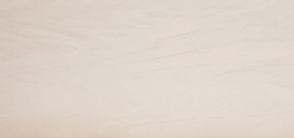 Porcelain, Arena by Neolith