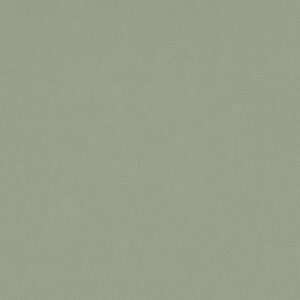 Quartz, Posidonia by silestone