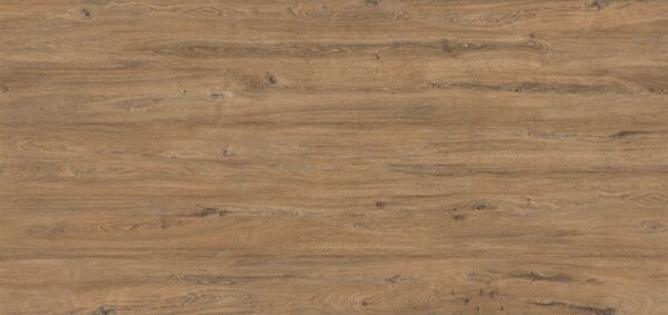 Ceramic, Rovere Baio by Sapien Stone