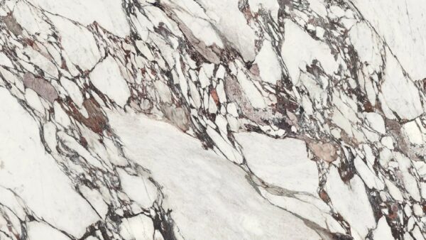 Porcelain, Calacatta Viola by Uniceramica