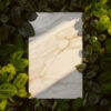 Porcelain, Mirabel 506 by Caesarstone - Image 4