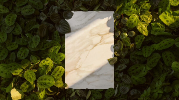 Porcelain, Mirabel 506 by Caesarstone - Image 4