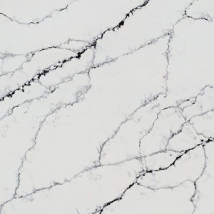 Calacatta Noir Quartz