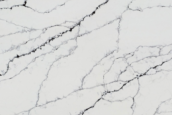 Calacatta Noir Quartz