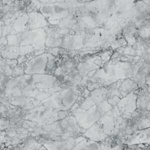 Bianco Eclipsia Quartz