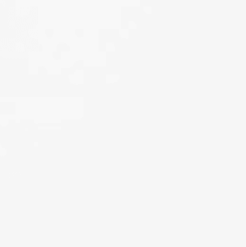 Bloomstones Bianco White