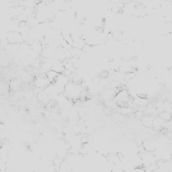Bloomstones Carrara Extra