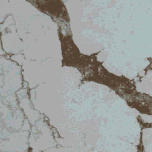 Classic Quartz Golden Sand